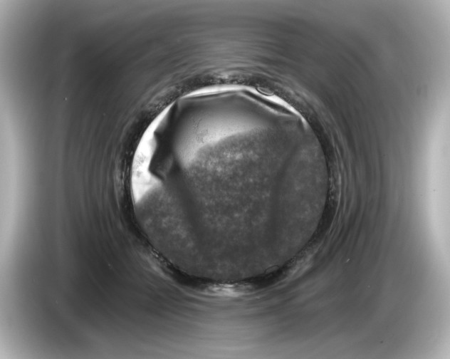 X0000085770558200704091354