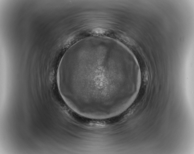 X0000085770559200704091354