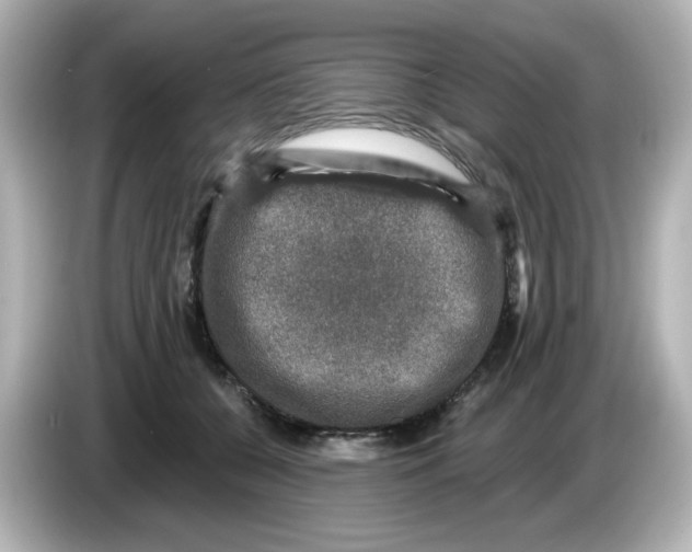 X0000085770560200704091355