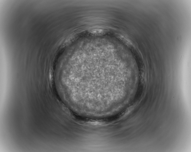 X0000085770561200704091355