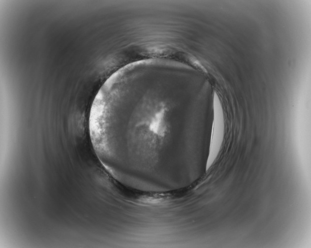 X0000085770563200704091355