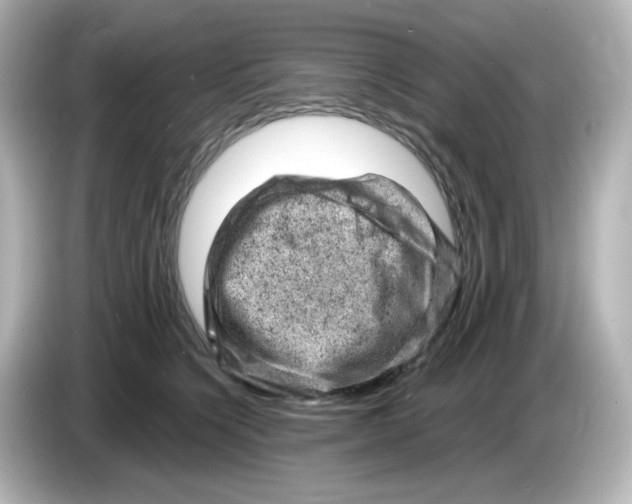 X0000085770564200704091355