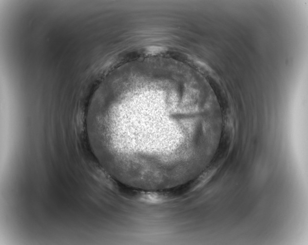 X0000085770565200704091355