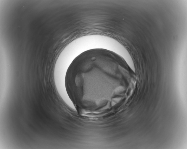 X0000085770566200704091355