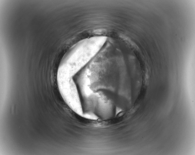 X0000085770569200704091355