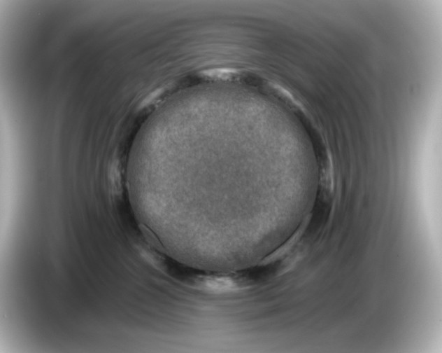 X0000085770572200704091355