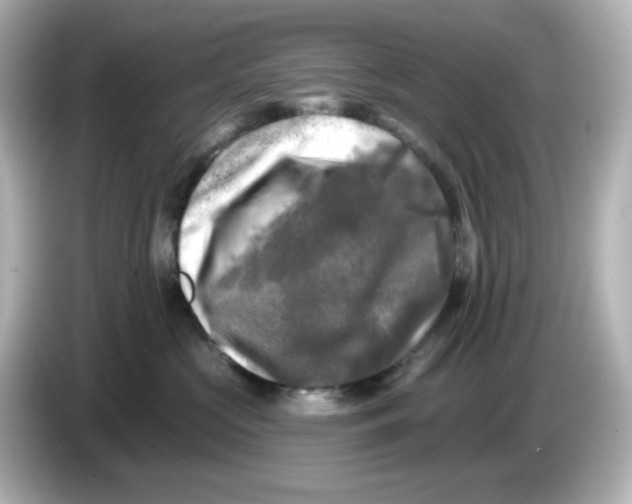 X0000085770573200704091355