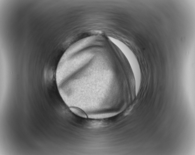 X0000085770574200704091355