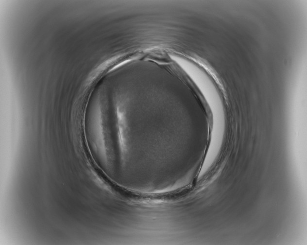 X0000085770577200704091354