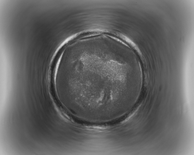 X0000085770580200704091354