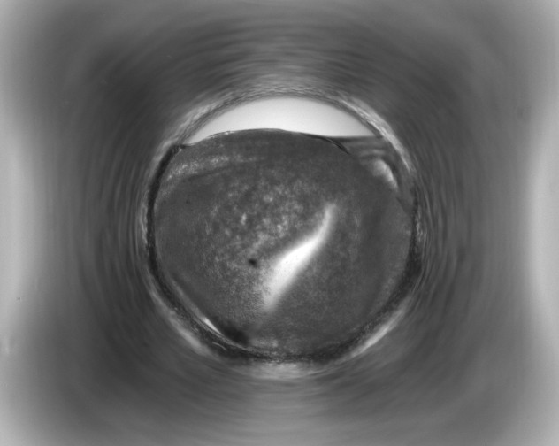 X0000085770581200704091354