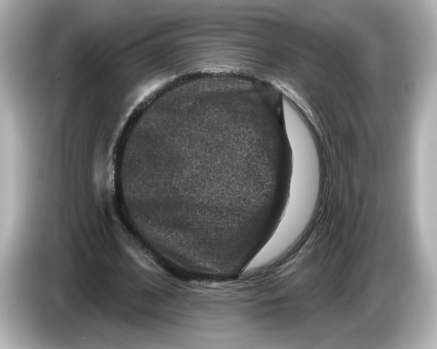 X0000085770584200704091354