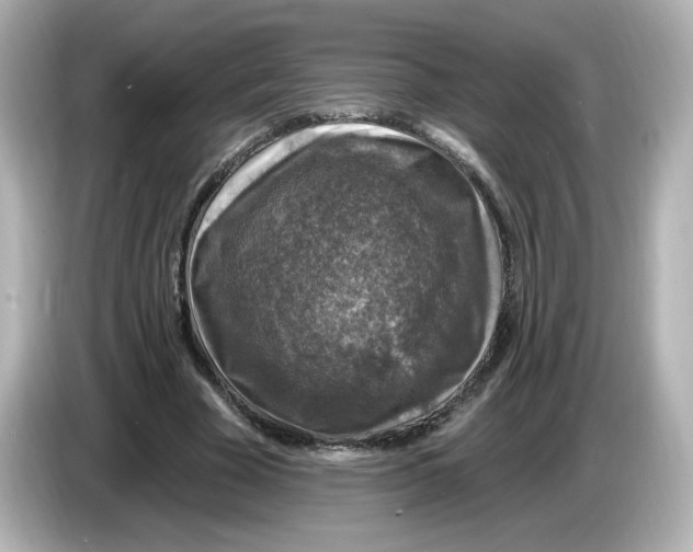 X0000085770585200704091354