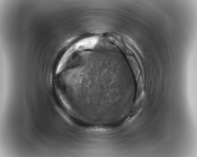 X0000085770589200704091354