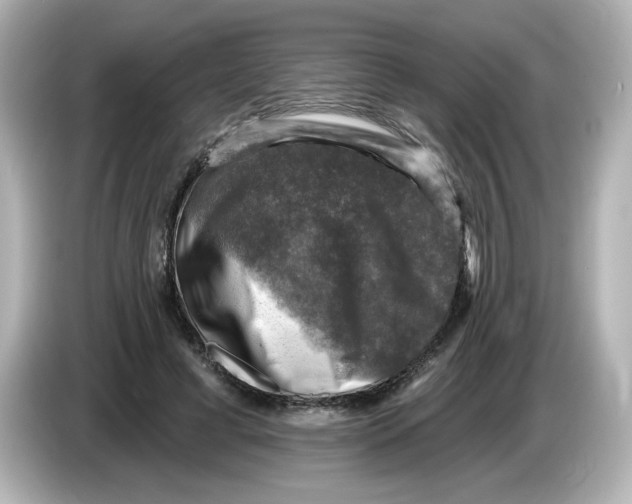 X0000085770593200704091354