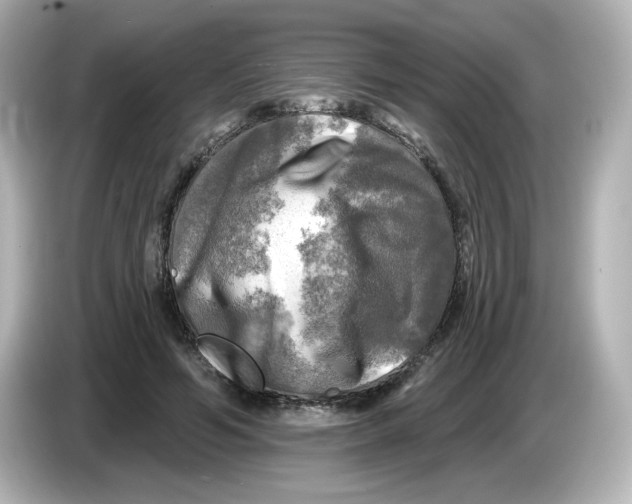 X0000085770594200704091354