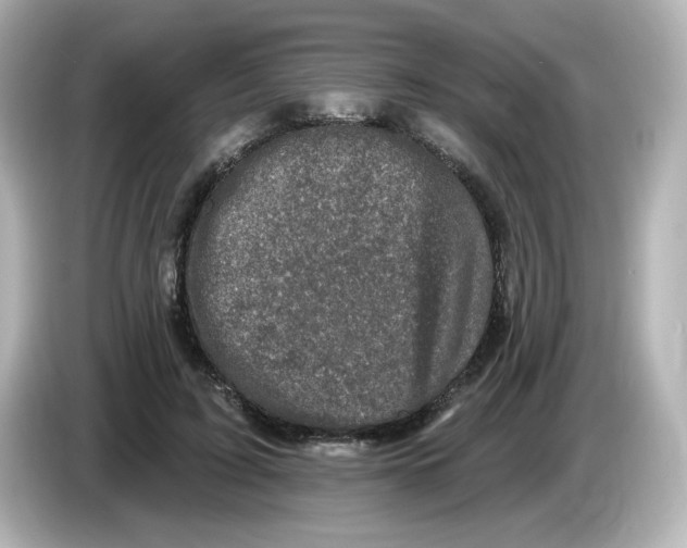 X0000085770595200704091354