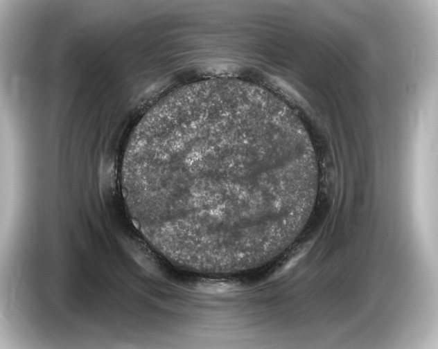 X0000085770597200704091354