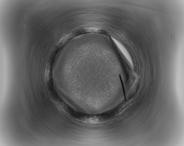 X0000085770600200704091354