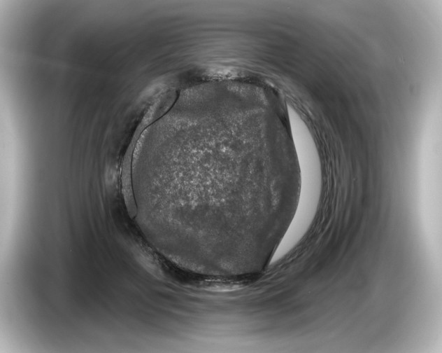 X0000085770601200704091354