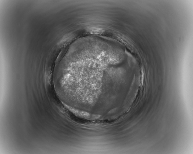 X0000085770604200704091354