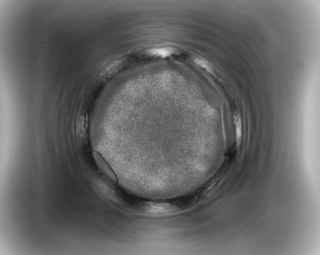 X0000085770605200704091354