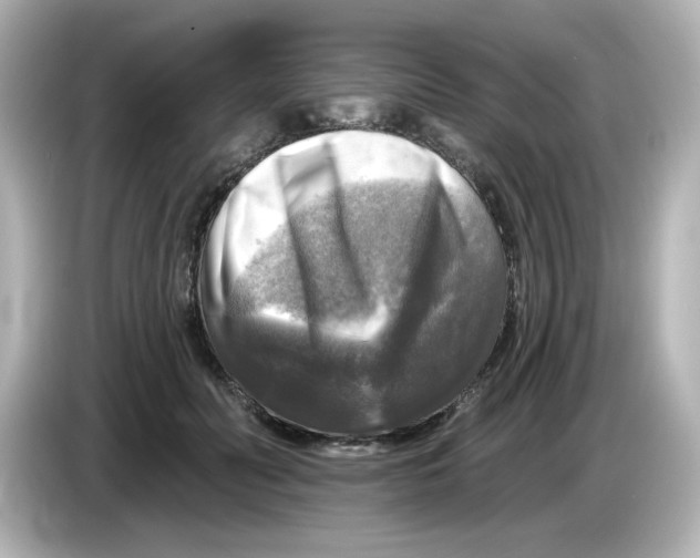 X0000085770606200704091354