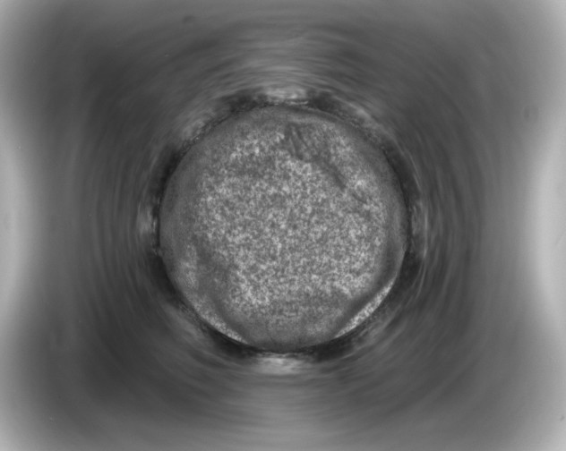 X0000085770614200704091354