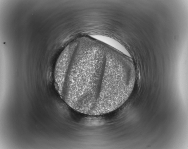 X0000085770615200704091354