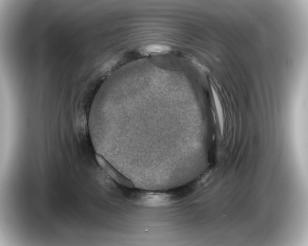 X0000085770617200704091354