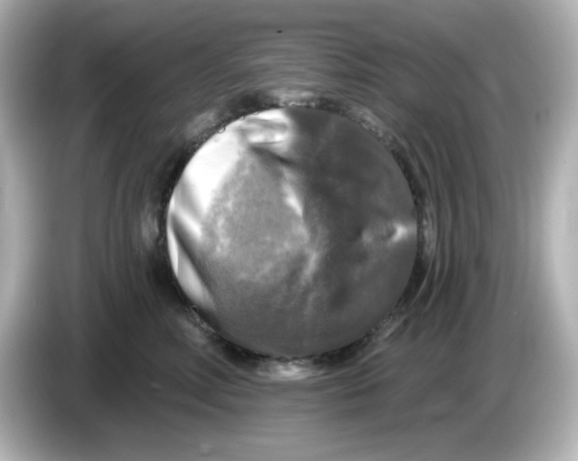 X0000085770618200704091354