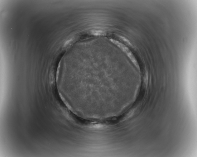 X0000085770620200704091354