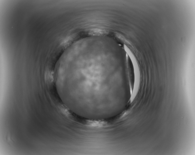 X0000085770621200704091354