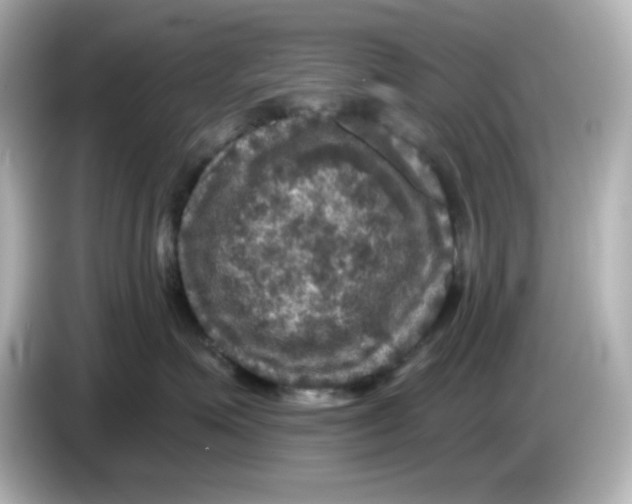 X0000085770623200704091354