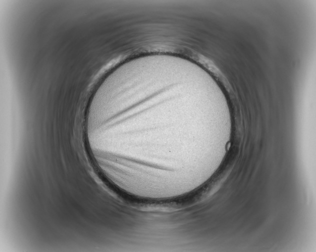 X0000085770625200704091353