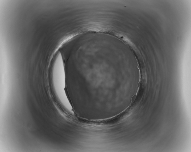 X0000085770626200704091353