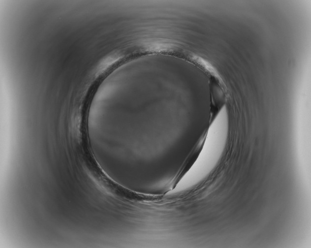 X0000085770627200704091353