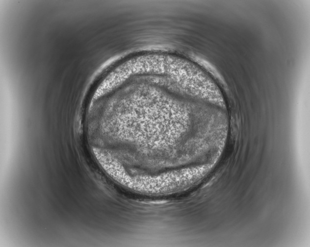 X0000085770628200704091353