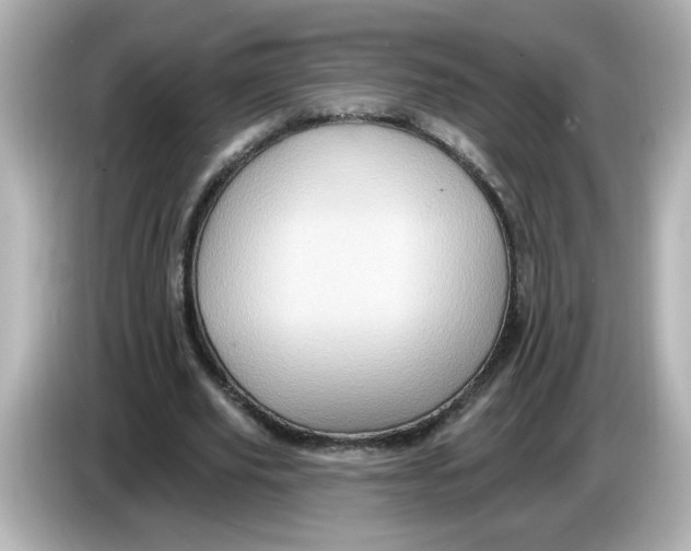 X0000085770629200704091353