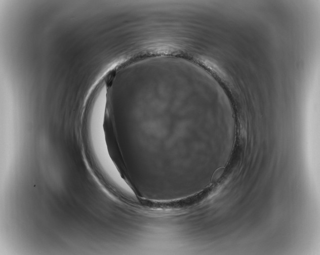 X0000085770630200704091353