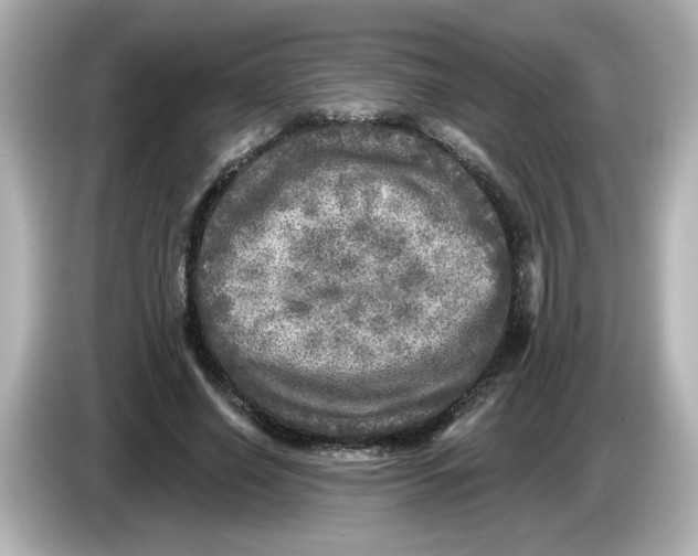 X0000085770638200704091353