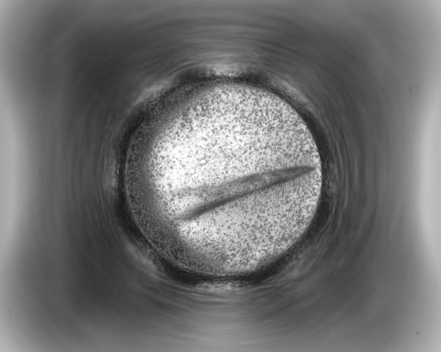 X0000085770639200704091353