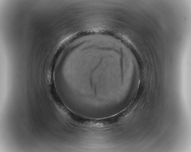 X0000085770640200704091353