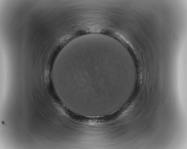 X0000085770641200704091353