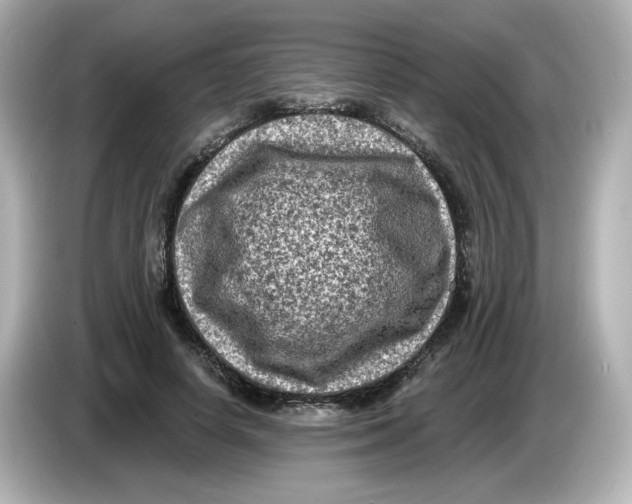 X0000085770642200704091353