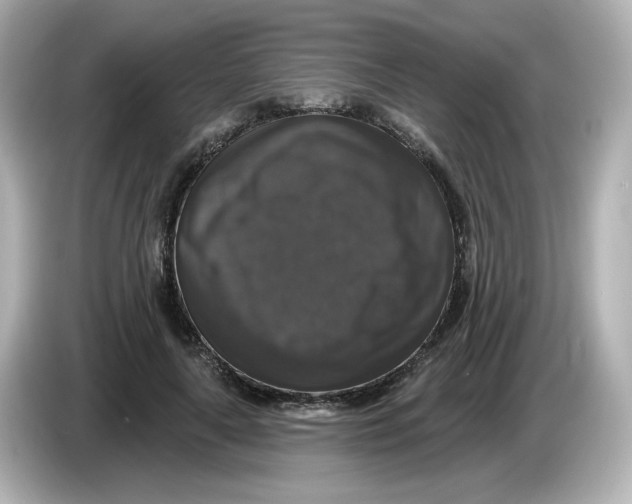 X0000085770643200704091353