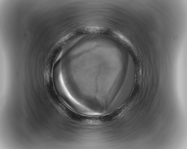 X0000085770644200704091353