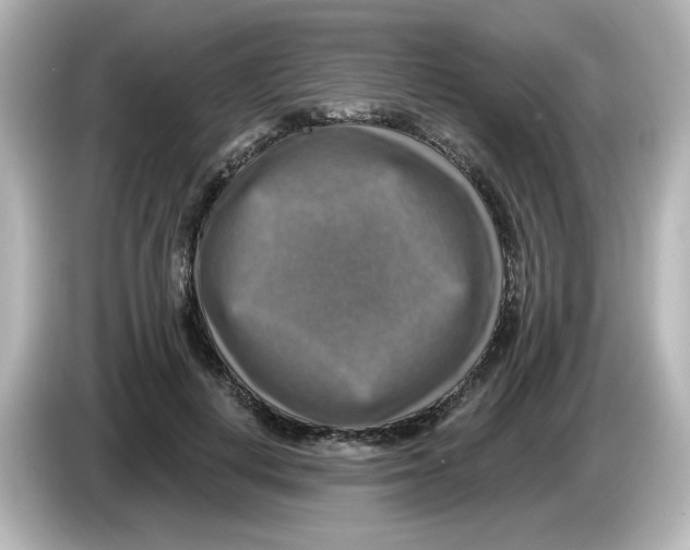 X0000085770648200704091353