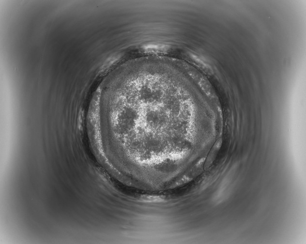 X0000085770649200704091353