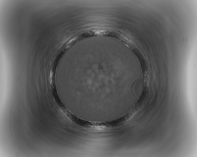 X0000085770650200704091353